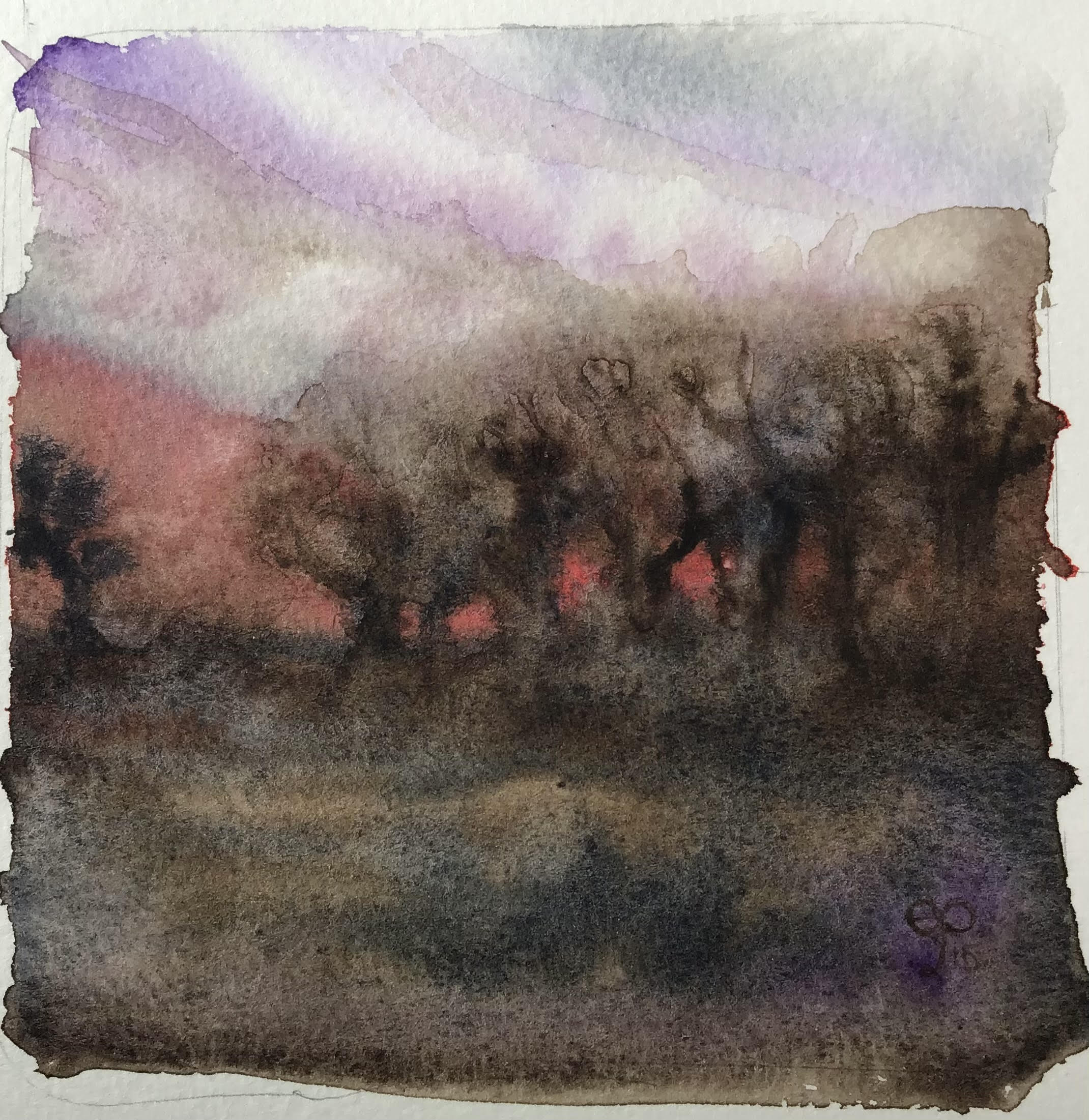 Orchard Woods Original