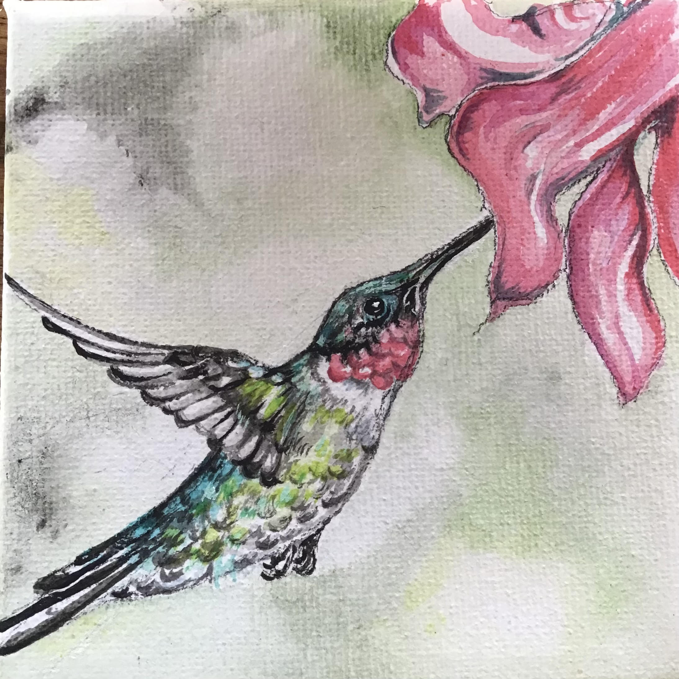 Humming Bird Original Painting Original