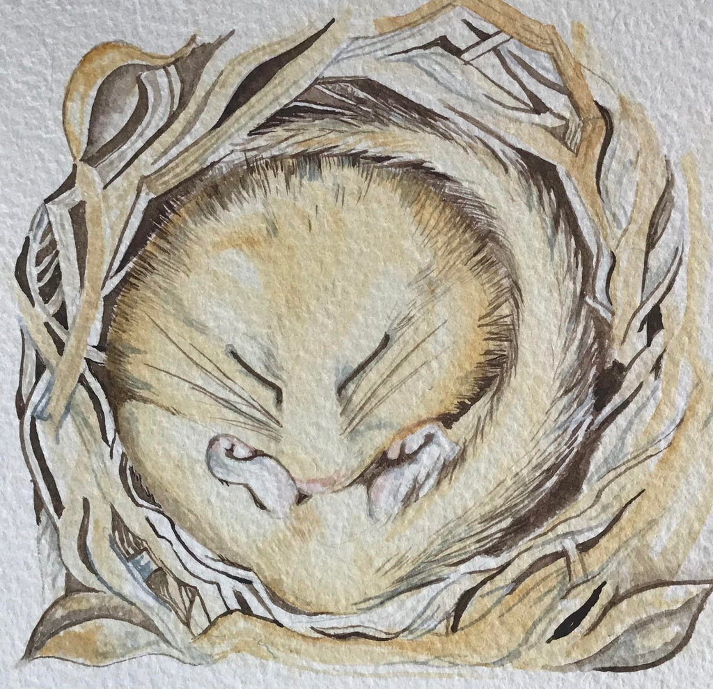 Sleeping Dormouse Original Painting